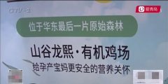 男士什么项目赔本最多呢图片
